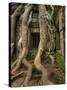 The Ta Prohm Temple Located at Angkor in Cambodia-Kyle Hammons-Stretched Canvas