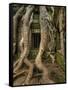 The Ta Prohm Temple Located at Angkor in Cambodia-Kyle Hammons-Framed Stretched Canvas