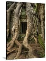 The Ta Prohm Temple Located at Angkor in Cambodia-Kyle Hammons-Stretched Canvas