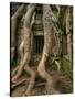 The Ta Prohm Temple Located at Angkor in Cambodia-Kyle Hammons-Stretched Canvas