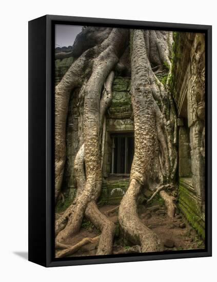 The Ta Prohm Temple Located at Angkor in Cambodia-Kyle Hammons-Framed Stretched Canvas