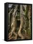 The Ta Prohm Temple Located at Angkor in Cambodia-Kyle Hammons-Framed Stretched Canvas