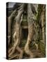 The Ta Prohm Temple Located at Angkor in Cambodia-Kyle Hammons-Stretched Canvas