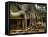 The Ta Prohm Temple Located at Angkor in Cambodia-Kyle Hammons-Framed Stretched Canvas