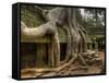 The Ta Prohm Temple Located at Angkor in Cambodia-Kyle Hammons-Framed Stretched Canvas