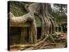 The Ta Prohm Temple Located at Angkor in Cambodia-Kyle Hammons-Stretched Canvas