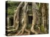 The Ta Prohm Temple Located at Angkor in Cambodia-Kyle Hammons-Stretched Canvas