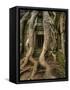The Ta Prohm Temple Located at Angkor in Cambodia-Kyle Hammons-Framed Stretched Canvas