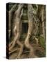 The Ta Prohm Temple Located at Angkor in Cambodia-Kyle Hammons-Stretched Canvas