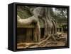 The Ta Prohm Temple Located at Angkor in Cambodia-Kyle Hammons-Framed Stretched Canvas