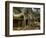 The Ta Prohm Temple Located at Angkor in Cambodia-Kyle Hammons-Framed Photographic Print