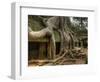 The Ta Prohm Temple Located at Angkor in Cambodia-Kyle Hammons-Framed Photographic Print