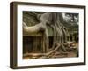 The Ta Prohm Temple Located at Angkor in Cambodia-Kyle Hammons-Framed Photographic Print