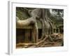 The Ta Prohm Temple Located at Angkor in Cambodia-Kyle Hammons-Framed Photographic Print