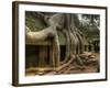 The Ta Prohm Temple Located at Angkor in Cambodia-Kyle Hammons-Framed Photographic Print