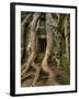 The Ta Prohm Temple Located at Angkor in Cambodia-Kyle Hammons-Framed Photographic Print