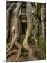 The Ta Prohm Temple Located at Angkor in Cambodia-Kyle Hammons-Mounted Photographic Print