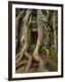 The Ta Prohm Temple Located at Angkor in Cambodia-Kyle Hammons-Framed Photographic Print