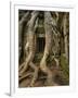 The Ta Prohm Temple Located at Angkor in Cambodia-Kyle Hammons-Framed Photographic Print