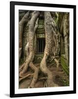 The Ta Prohm Temple Located at Angkor in Cambodia-Kyle Hammons-Framed Photographic Print