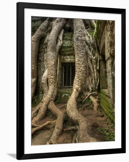 The Ta Prohm Temple Located at Angkor in Cambodia-Kyle Hammons-Framed Photographic Print