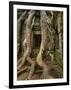 The Ta Prohm Temple Located at Angkor in Cambodia-Kyle Hammons-Framed Photographic Print