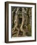 The Ta Prohm Temple Located at Angkor in Cambodia-Kyle Hammons-Framed Photographic Print