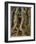 The Ta Prohm Temple Located at Angkor in Cambodia-Kyle Hammons-Framed Photographic Print