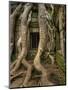 The Ta Prohm Temple Located at Angkor in Cambodia-Kyle Hammons-Mounted Photographic Print