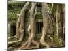 The Ta Prohm Temple Located at Angkor in Cambodia-Kyle Hammons-Mounted Photographic Print