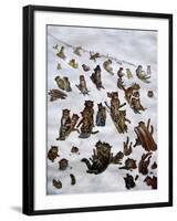 The Tabby Toboggan Club, 1898-Louis Wain-Framed Giclee Print