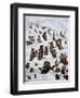 The Tabby Toboggan Club, 1898-Louis Wain-Framed Giclee Print