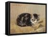 The Tabby-Henriette Ronner-Knip-Framed Stretched Canvas