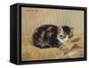 The Tabby-Henriette Ronner-Knip-Framed Stretched Canvas