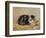 The Tabby-Henriette Ronner-Knip-Framed Giclee Print