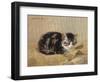 The Tabby-Henriette Ronner-Knip-Framed Giclee Print