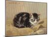 The Tabby-Henriette Ronner-Knip-Mounted Giclee Print