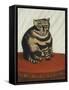 The Tabby-Henri Emilien Rousseau-Framed Stretched Canvas