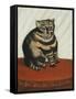 The Tabby-Henri Emilien Rousseau-Framed Stretched Canvas