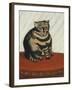 The Tabby-Henri Emilien Rousseau-Framed Giclee Print