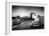 The Table-Ton Dirven-Framed Photographic Print