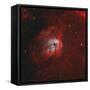 The Tadpole Nebula-Stocktrek Images-Framed Stretched Canvas