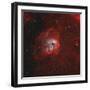 The Tadpole Nebula-Stocktrek Images-Framed Photographic Print