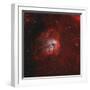 The Tadpole Nebula-Stocktrek Images-Framed Photographic Print