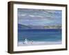 The Tail of Mull from Iona-Francis Campbell Boileau Cadell-Framed Giclee Print