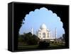 The Taj Mahal, Agra, India-Bill Bachmann-Framed Stretched Canvas