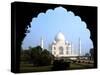 The Taj Mahal, Agra, India-Bill Bachmann-Stretched Canvas