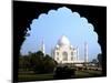 The Taj Mahal, Agra, India-Bill Bachmann-Mounted Premium Photographic Print