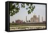 The Taj Mahal, Agra, Uttar Pradesh, India-Roberto Moiola-Framed Stretched Canvas