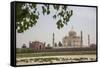 The Taj Mahal, Agra, Uttar Pradesh, India-Roberto Moiola-Framed Stretched Canvas